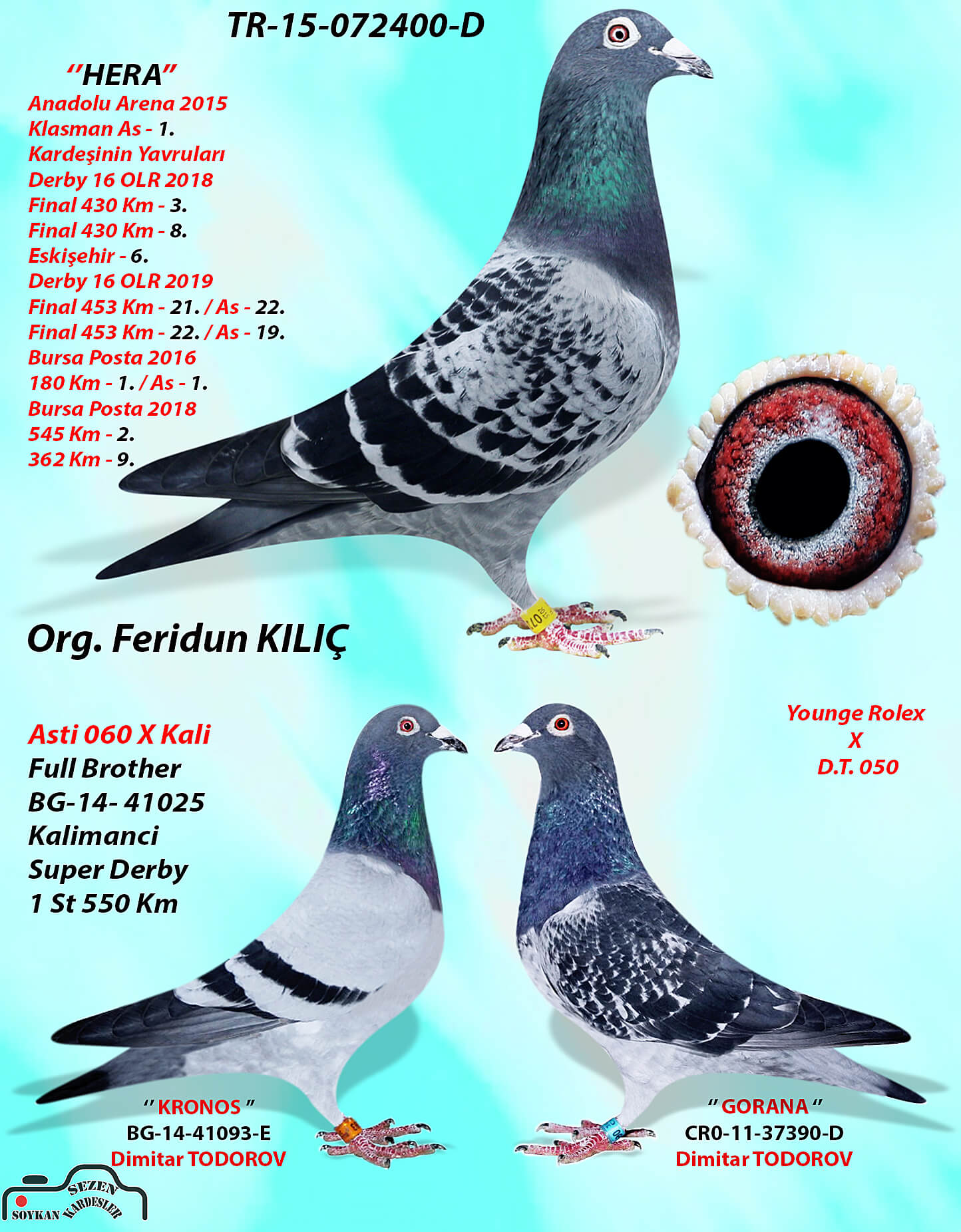TR 20-160614 ERKEK - Winner Pigeons